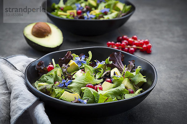 Schüssel gemischter Salat mit Avocado  roten Johannisbeeren und Borretschblüten