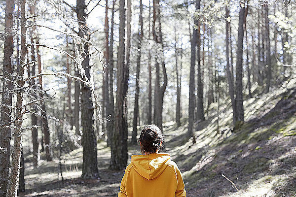 Rückansicht einer jungen Frau mit gelbem Pullover im Wald