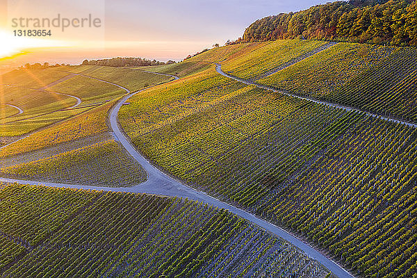 Deutschland  Baden-Württemberg  Luftaufnahme des Korber Kopfes  Weinberge bei Sonnenuntergang im Herbst