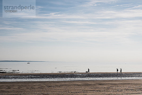 Frankreich  Normandie  Barneville-Carteret  Strand von Barnville  Strandspaziergang