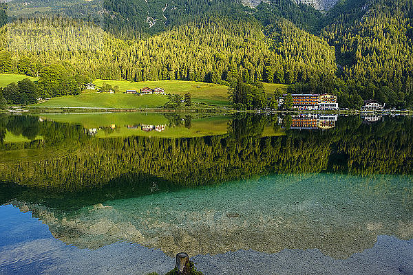 Deutschland  Bayern  Oberbayern  Berchtesgadener Land  Ramsau  Nationalpark Berchtesgaden  Hintersee