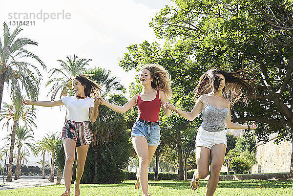 Spanien  Mallorca  Palma  drei glückliche junge Leute  die im Sommer in einem Park Hand in Hand laufen
