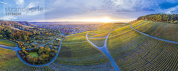 Deutschland  Baden-Württemberg  Luftaufnahme des Korber Kopfes  Weinberge bei Sonnenuntergang im Herbst  Panorama