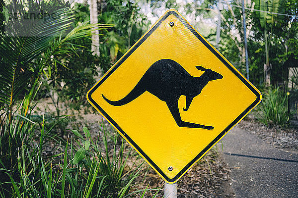 Australien  Magnetic Island  Känguru-Tierkreuzungszeichen