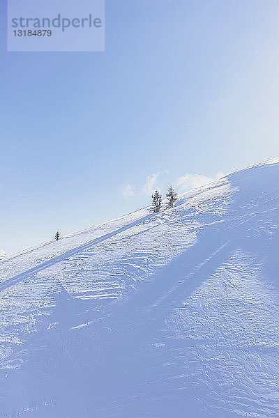 Österreich  Saalbach-Hinterglemm  Skigebiet