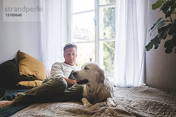 Hund ruht im Bett  während ein älterer Mann zu Hause ein Buch gegen ein Fenster liest