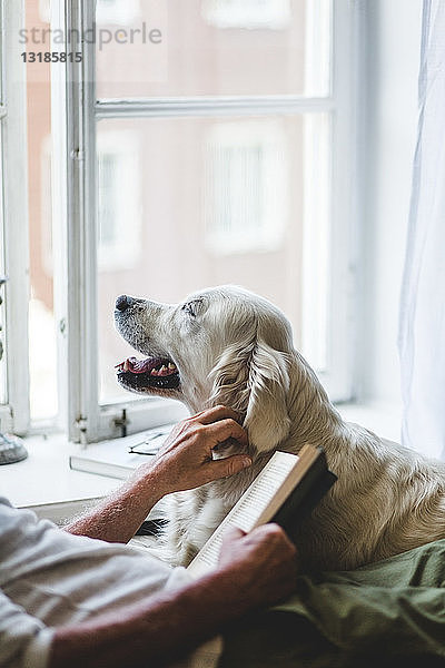 Mittelteil eines älteren Mannes  der einen Hund streichelt  während er zu Hause ein Buch auf dem Bett hält