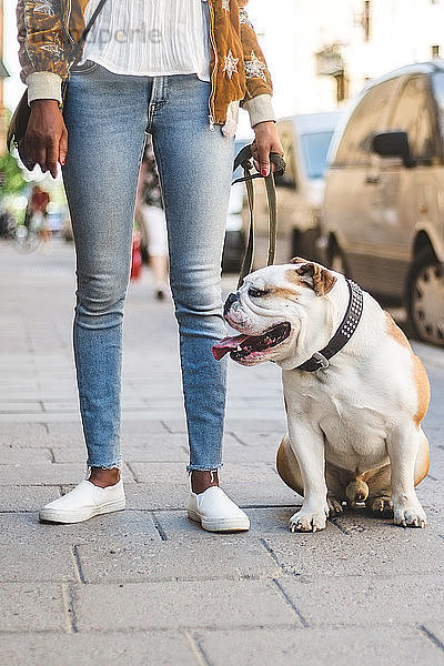 Niedriger Teil einer Frau in Jeans steht mit englischer Bulldogge auf dem Bürgersteig der Stadt