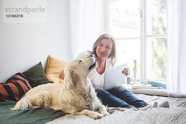 Liebevolle ältere Frau berührt Hund  während sie zu Hause einen Laptop auf dem Bett hält