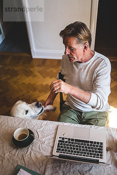 Hochwinkelaufnahme eines älteren Mannes  der mit seinem Hund spielt  während er zu Hause am Laptop arbeitet