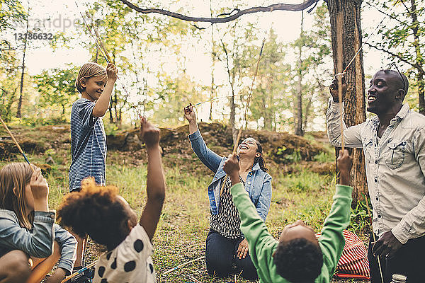 Multi-ethnische Familie hält Spieße am Picknickplatz im Park