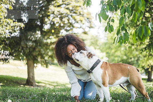 Glückliche Frau im mittleren Erwachsenenalter mit anhänglicher Bulldogge im Park