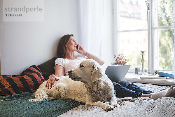 Frau berührt Hund  während sie zu Hause am Bett über Handy telefoniert