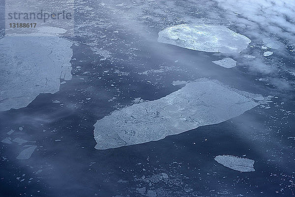 Eis schwimmt auf dem ruhigen Ozean  Grönland