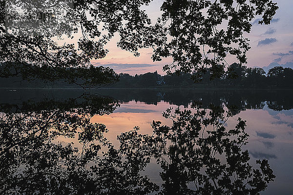 Ruhige Silhouette Reflexion der Bäume in ruhigen Sonnenuntergang See  Luetjensee  Deutschland