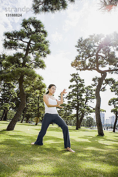 Frau übt Tai Chi in einem sonnigen Park  Tokio  Japan