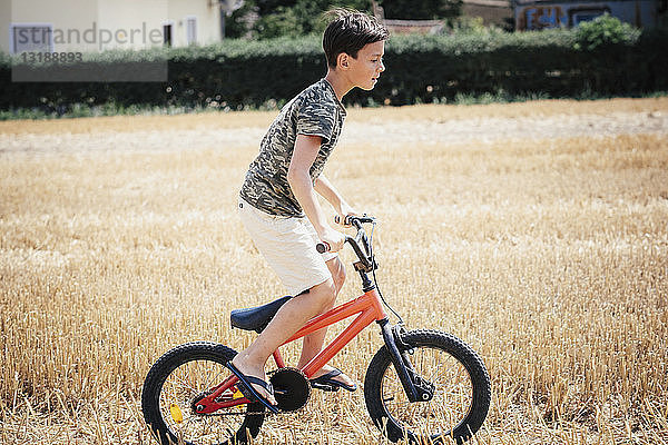 Junge fährt Fahrrad in einem sonnigen ländlichen Feld