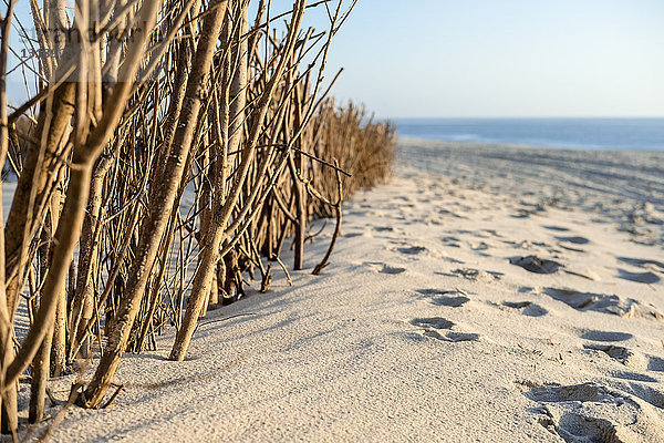 Sandfangzaun am Strand  Sylt  Schleswig-Holstein  Deutschland  Europa