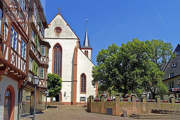 Palmsches Haus und Stiftskirche St. Juliana  Mosbach  Baden-Württemberg  Deutschland  Europa