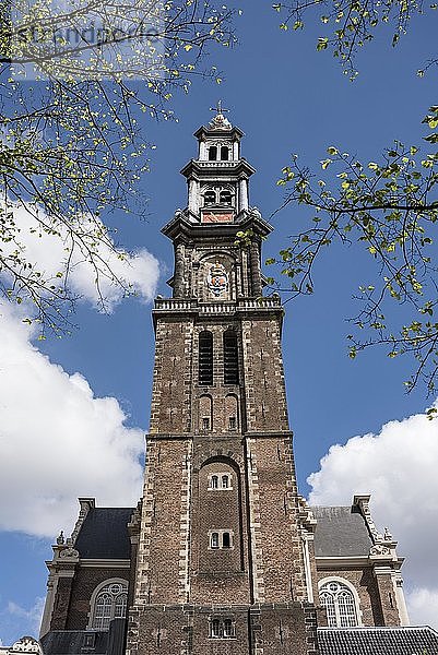 Der Glockenturm der Westerkerk  Amsterdam  Nordholland  Niederlande