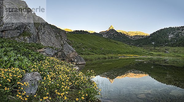 Schottmalhorn spiegelt sich im Funtensee bei Sonnenuntergang  Steinernes Meer  Nationalpark Berchtesgaden  Bayern  Deutschland  Europa