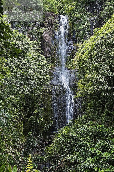 Makahiku-Wasserfälle in grüner Vegetation  Haleakal? National Park  Maui  Hawaii  USA  Nordamerika