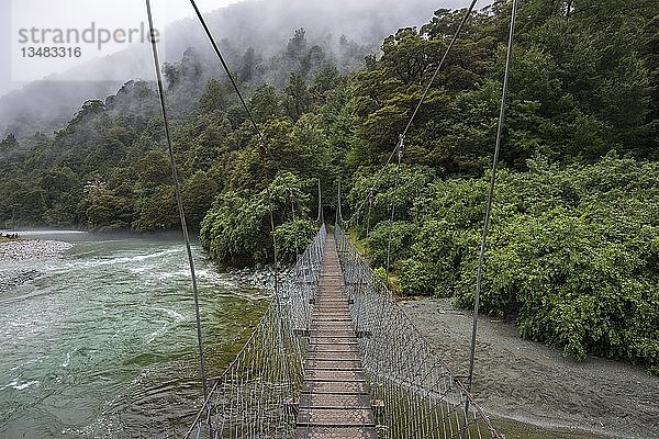 Hollyford Track Hängebrücke  Regenwald im Fiordland National Park  Hollyford Fluss  Südland  Neuseeland  Ozeanien