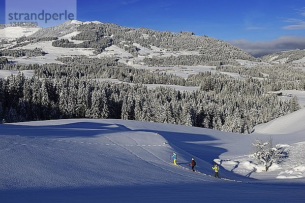 Schneeschuhwanderer  Gruberberg  Hopfgarten  Kitzbüheler Alpen  Tirol  Österreich  Europa