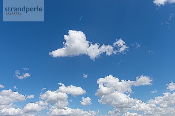 Kleine Wolken mit blauem Himmel  Schönwetterwolken  Andalusien  Spanien  Europa