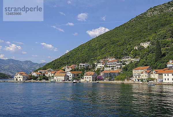 Lepetane  Bucht von Kotor  Montenegro  Europa