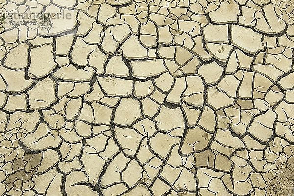 Aufgesprungener Lehmboden durch lang anhaltende Trockenheit  Hintergrundbild  Deutschland  Europa