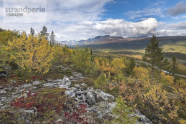 Blick auf die Berge des Sarek Nationalparks  Herbstvegetation  Kvikkjokk  Laponia  Norrbotten  Lappland  Schweden  Europa