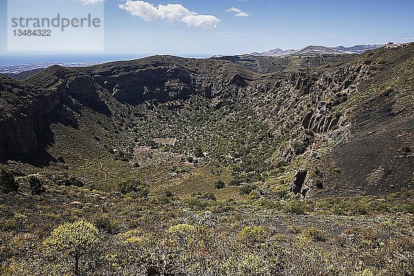 Blick in den Vulkankrater Caldera de Bandama  Naturpark  bei Tafira  Gran Canaria  Kanarische Inseln  Spanien  Europa