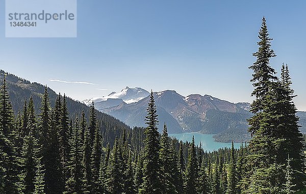 Blick auf den Garibaldi-See  Wald und schneebedeckte Berge  Panorama Ridge Trail  Garibaldi Provincial Park  British Columbia  Kanada  Nordamerika