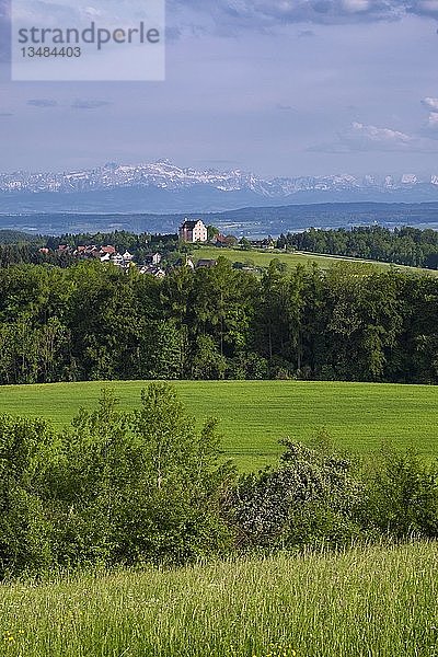 Blick auf Schloss Freudental auf dem BodanrÃ¼ck  Appenzeller Alpen  Bodenseeregion  Baden-WÃ¼rttemberg  Deutschland  Europa