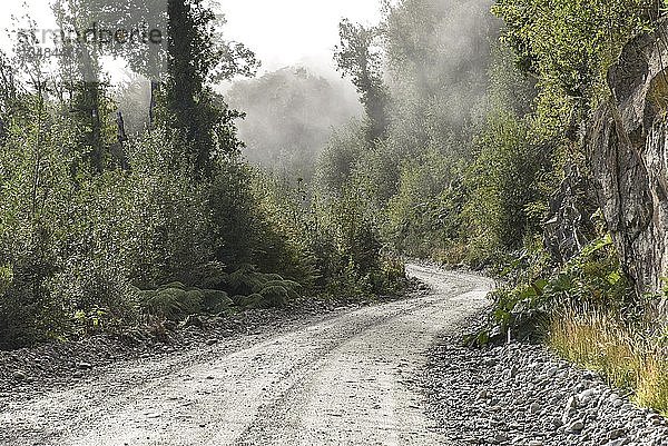 Schotterstraße im gemäßigten Regenwald mit Nebel  bei Puerto Río Tranquilo  Carretera Austral  Valle Exploradores  Laguna San Rafael National Park  Patagonien  Chile  Südamerika