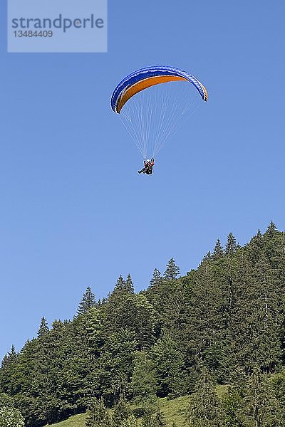 Gleitschirmflieger am Hochgrat bei Steibis  AllgÃ¤u  Bayern  Deutschland  Europa