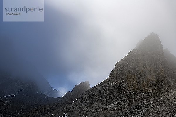 Felszahn mit Nebel  Ehrwald  Tirol  Österreich  Europa