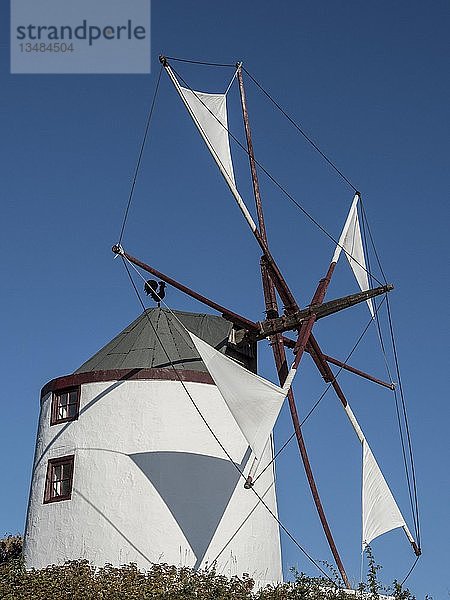 Windmühle  Windmühlenmuseum Gifhorn  Niedersachsen  Deutschland  Europa