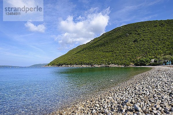 Kieselstrand  Strand Zanjice  ?anjice  bei Herceg Novi  Halbinsel Lustica  Lu?tica  Bucht von Kotor  Montenegro  Europa