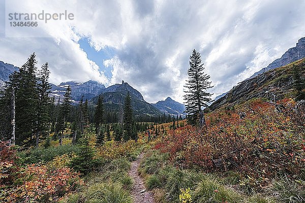 Wanderweg durch herbstliche Berglandschaft zum Upper Two Medicine Lake  Glacier National Park  Montana  USA  Nordamerika