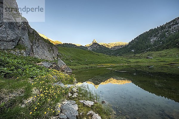 Schottmalhorn spiegelt sich im Funtensee bei Sonnenuntergang  Steinernes Meer  Nationalpark Berchtesgaden  Bayern  Deutschland  Europa