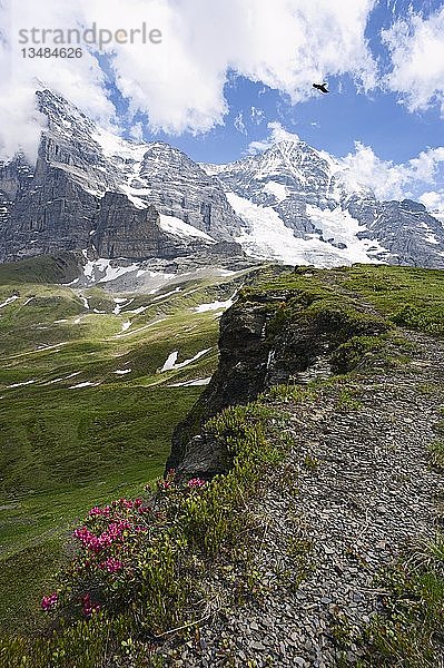 Eiger und Mönch mit Eismeerhang und Gletscher  Schweiz  Europa