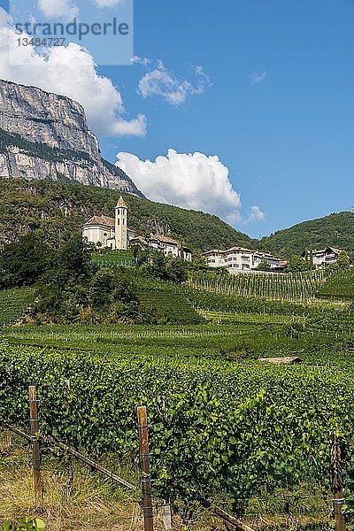 Weinberg  mit Weinbergen vor Bergen und Dorf mit Kirche  Kalterer See  Kalterer  Trentino  Südtirol  Italien  Europa