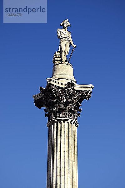 Nelsons Säule  Trafalgar Square  London  England  Vereinigtes Königreich  Europa