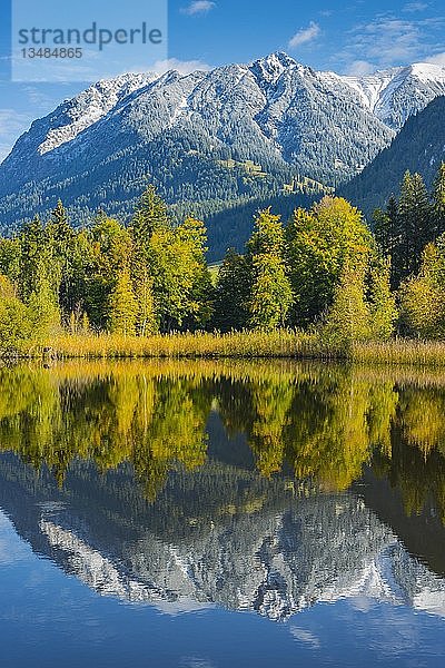 Rubihorn  1957m  Gaisalphorn  1953m  und Schattenberg  1845m  nach Schneefall  Wasserspiegelung im Moorweiher  Herbst  bei Oberstdorf  OberallgÃ¤u  AllgÃ¤u  Bayern  Deutschland  Europa