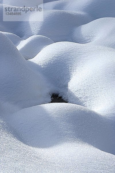 Durch Schneefall verursachte Hügel  Graubünden  Schweiz  Europa