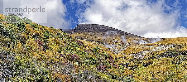 Rauch- und Dampffahne an den Ketetahi-Quellen am vulkanisch aktiven Nordhang des Mount Tongariro  Tongariro National Park  Manawatu-Wanganui  Nordinsel  Neuseeland  Ozeanien
