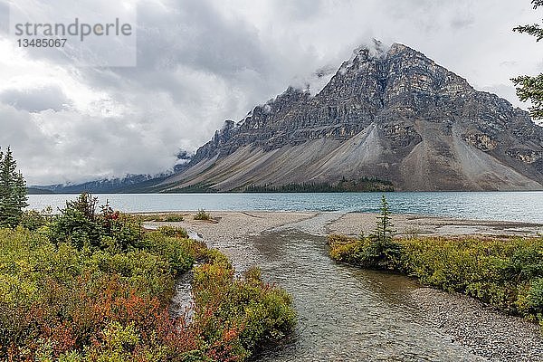 Kleiner Fluss mündet in einen See mit herbstlich gefärbten Ufern  Bow Lake  hintere Bergkette mit bewölktem Himmel  Banff National Park  Alberta  Kanada  Nordamerika