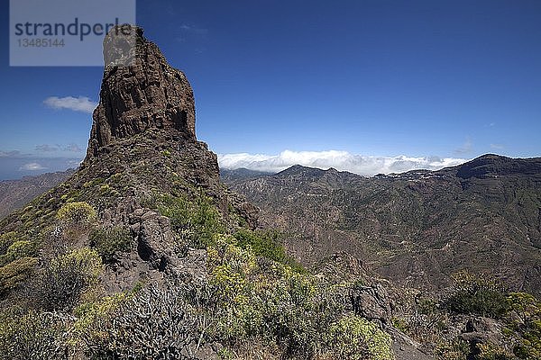 Roque Bentayga  blühende Vegetation  Gran Canaria  Kanarische Inseln  Spanien  Europa